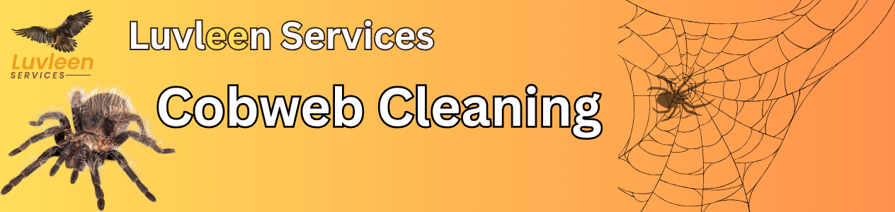 Web Clean Services