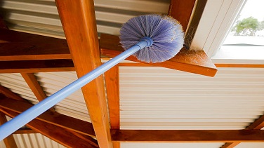 Web Clean Services
